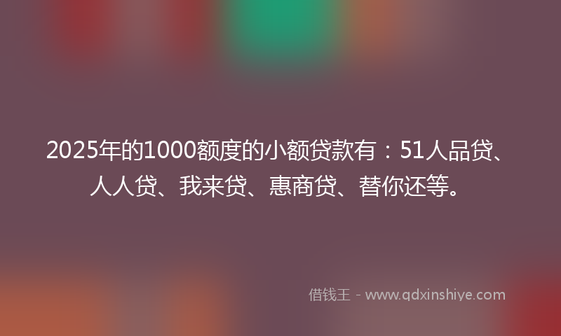 2025年的1000额度的小额贷款有：51人品贷、人人贷、我来贷、惠商贷、替你还等。