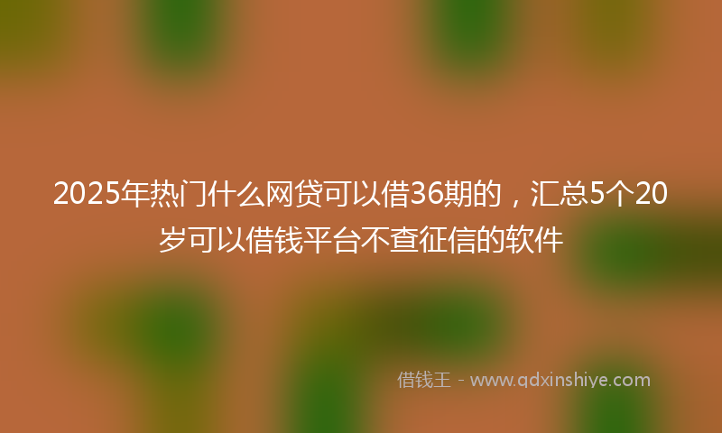 2025年热门什么网贷可以借36期的，汇总5个20岁可以借钱平台不查征信的软件