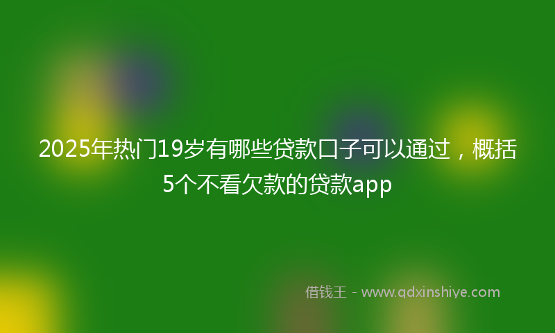 2025年热门19岁有哪些贷款口子可以通过，概括5个不看欠款的贷款app