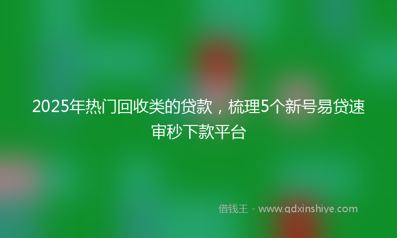 2025年热门回收类的贷款，梳理5个新号易贷速审秒下款平台