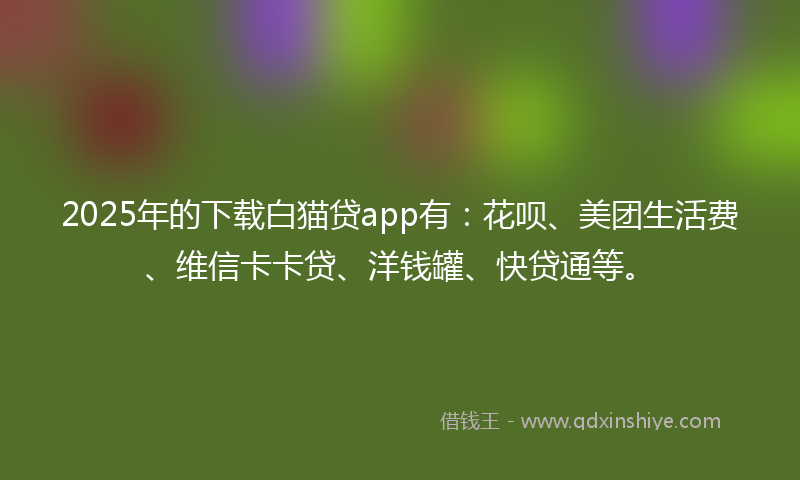 2025年的下载白猫贷app有：花呗、美团生活费、维信卡卡贷、洋钱罐、快贷通等。