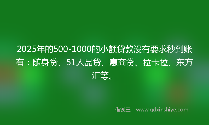 2025年的500-1000的小额贷款没有要求秒到账有：随身贷、51人品贷、惠商贷、拉卡拉、东方汇等。