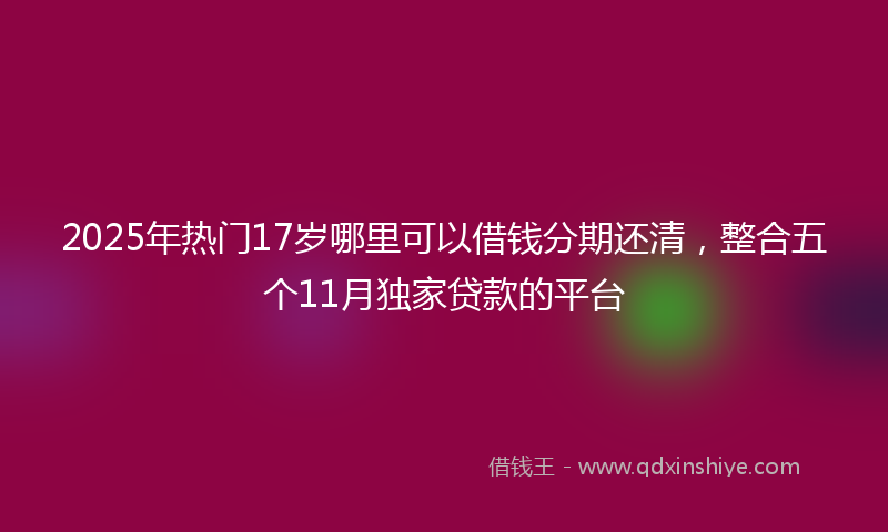 2025年热门17岁哪里可以借钱分期还清，整合五个11月独家贷款的平台