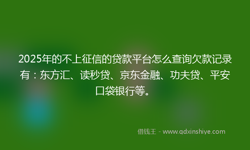 2025年的不上征信的贷款平台怎么查询欠款记录有：东方汇、读秒贷、京东金融、功夫贷、平安口袋银行等。