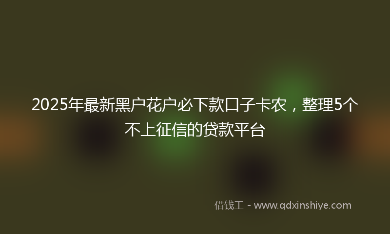 2025年最新黑户花户必下款口子卡农，整理5个不上征信的贷款平台