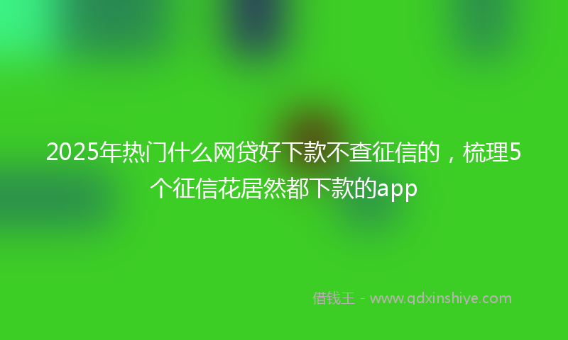 2025年热门什么网贷好下款不查征信的，梳理5个征信花居然都下款的app