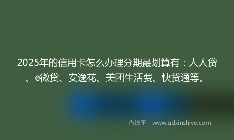 2025年的信用卡怎么办理分期最划算有：人人贷、e微贷、安逸花、美团生活费、快贷通等。