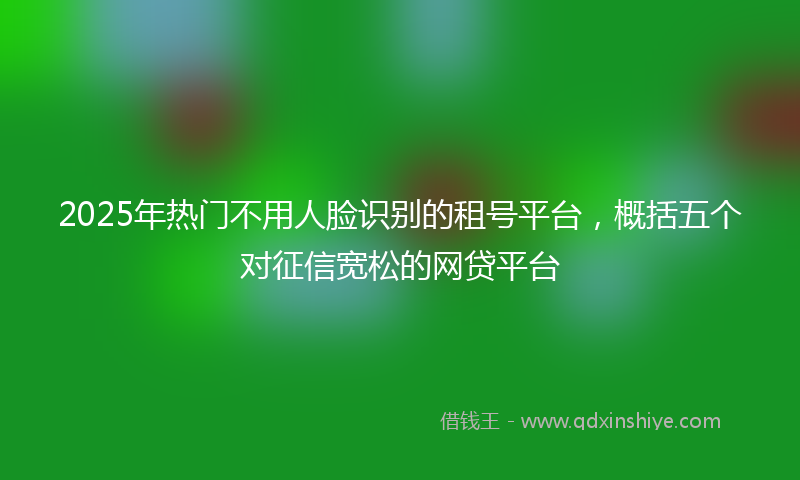 2025年热门不用人脸识别的租号平台，概括五个对征信宽松的网贷平台
