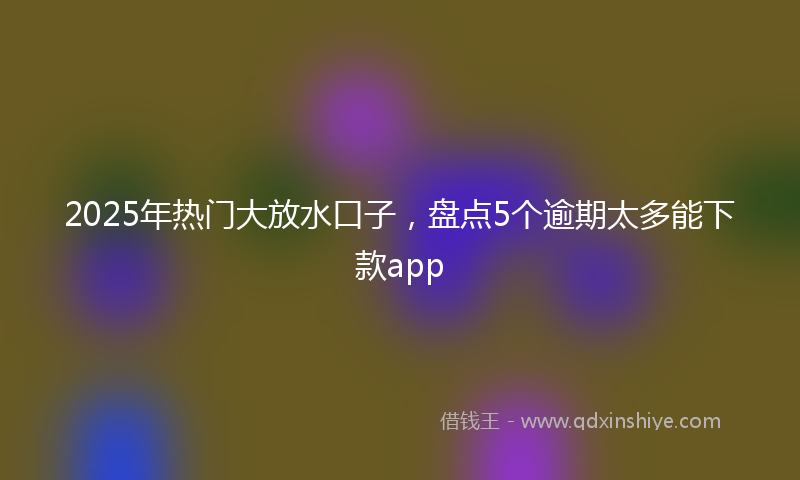 2025年热门大放水口子，盘点5个逾期太多能下款app
