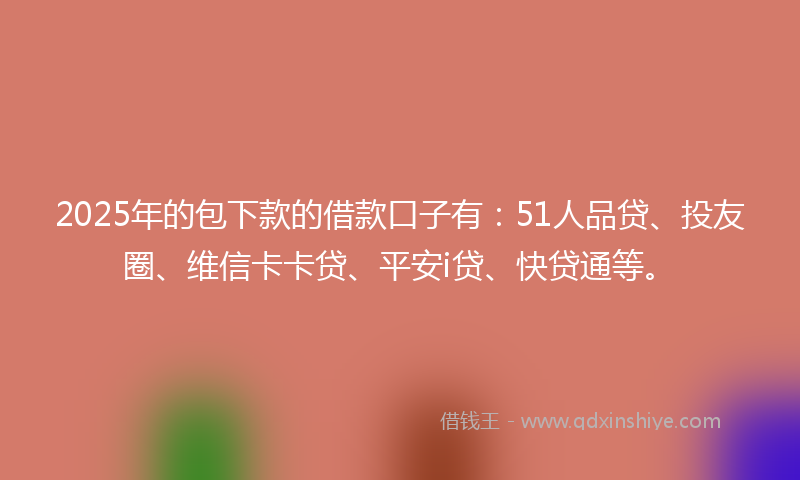 2025年的包下款的借款口子有：51人品贷、投友圈、维信卡卡贷、平安i贷、快贷通等。
