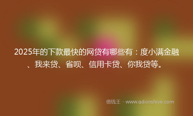 2025年的下款最快的网贷有哪些有：度小满金融、我来贷、省呗、信用卡贷、你我贷等。