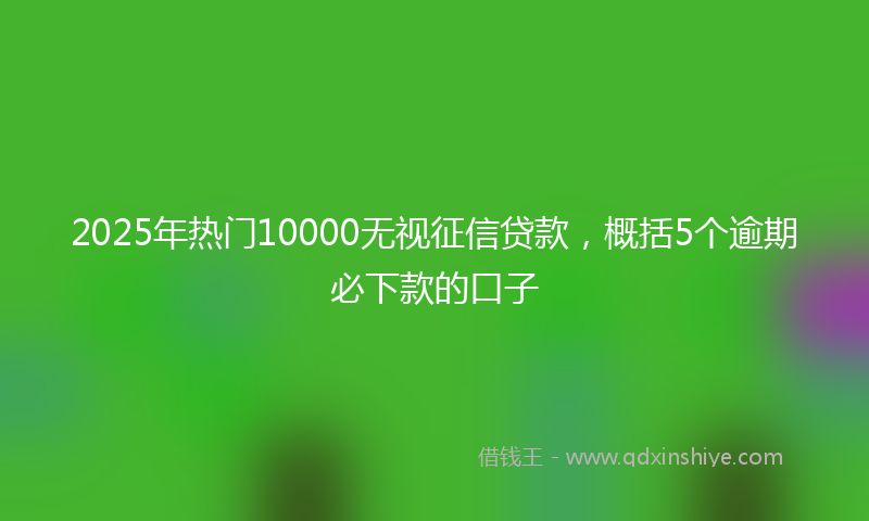 2025年热门10000无视征信贷款，概括5个逾期必下款的口子