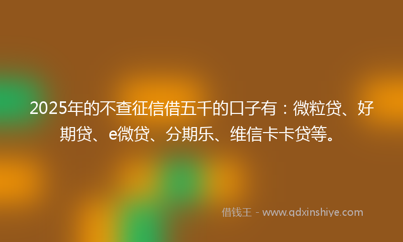 2025年的不查征信借五千的口子有：微粒贷、好期贷、e微贷、分期乐、维信卡卡贷等。