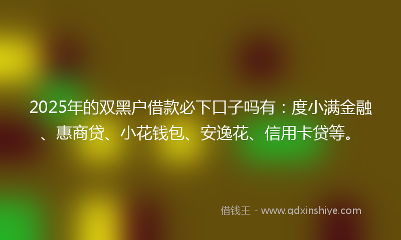2025年的双黑户借款必下口子吗有：度小满金融、惠商贷、小花钱包、安逸花、信用卡贷等。