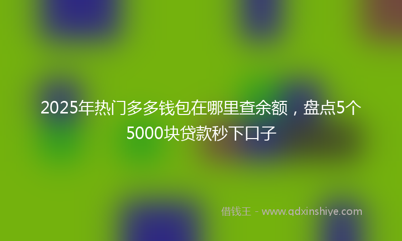 2025年热门多多钱包在哪里查余额，盘点5个5000块贷款秒下口子