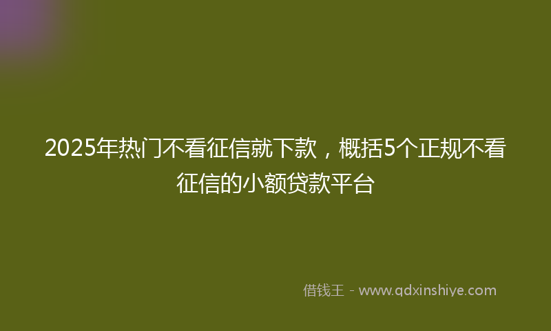 2025年热门不看征信就下款，概括5个正规不看征信的小额贷款平台