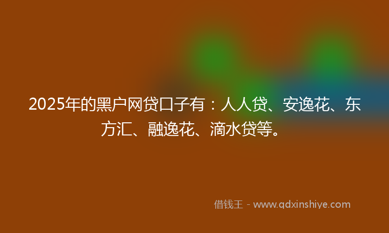2025年的黑户网贷口子有：人人贷、安逸花、东方汇、融逸花、滴水贷等。