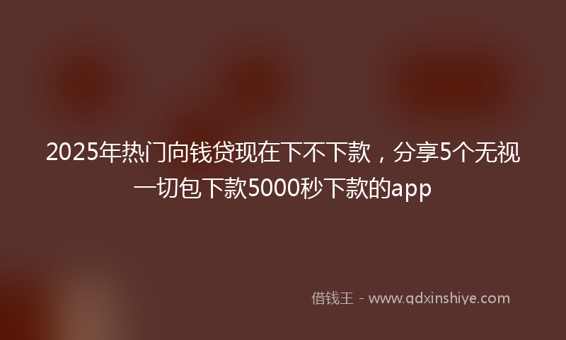 2025年热门向钱贷现在下不下款，分享5个无视一切包下款5000秒下款的app