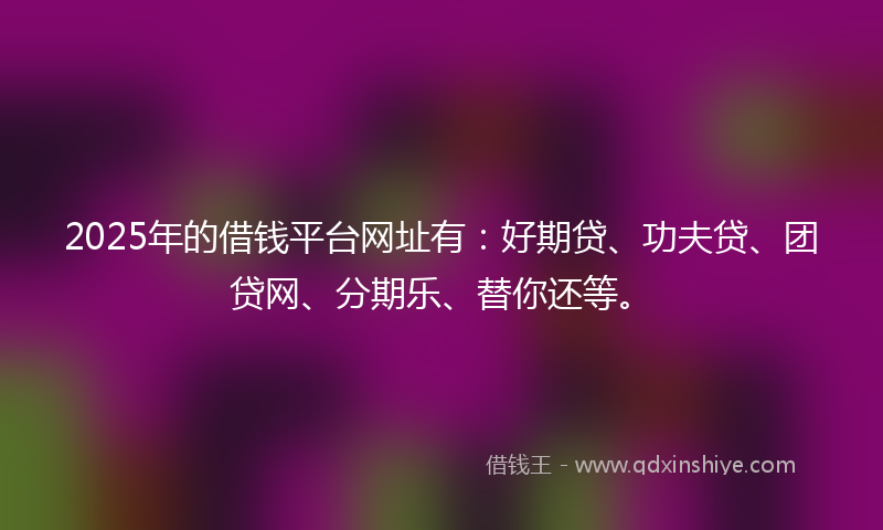 2025年的借钱平台网址有：好期贷、功夫贷、团贷网、分期乐、替你还等。