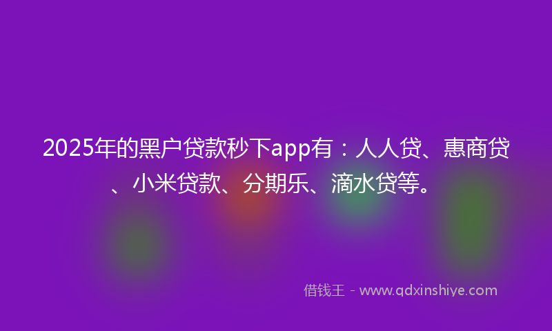 2025年的黑户贷款秒下app有：人人贷、惠商贷、小米贷款、分期乐、滴水贷等。