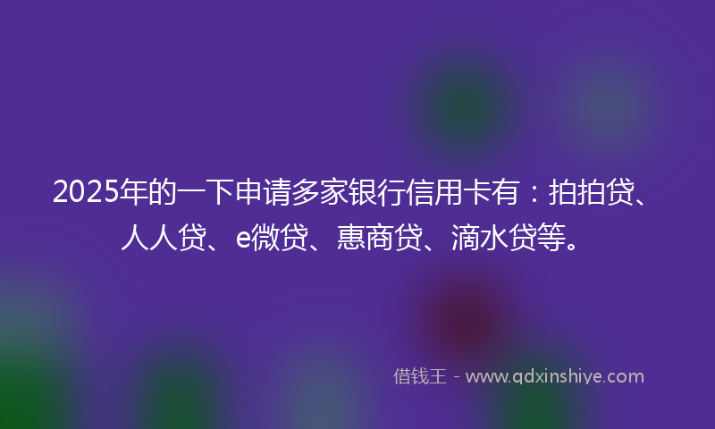 2025年的一下申请多家银行信用卡有：拍拍贷、人人贷、e微贷、惠商贷、滴水贷等。