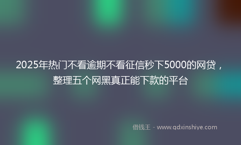 2025年热门不看逾期不看征信秒下5000的网贷，整理五个网黑真正能下款的平台