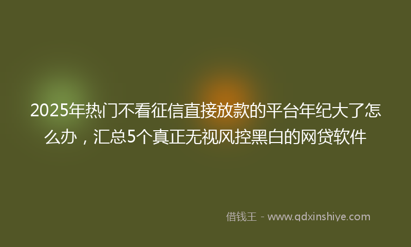 2025年热门不看征信直接放款的平台年纪大了怎么办，汇总5个真正无视风控黑白的网贷软件
