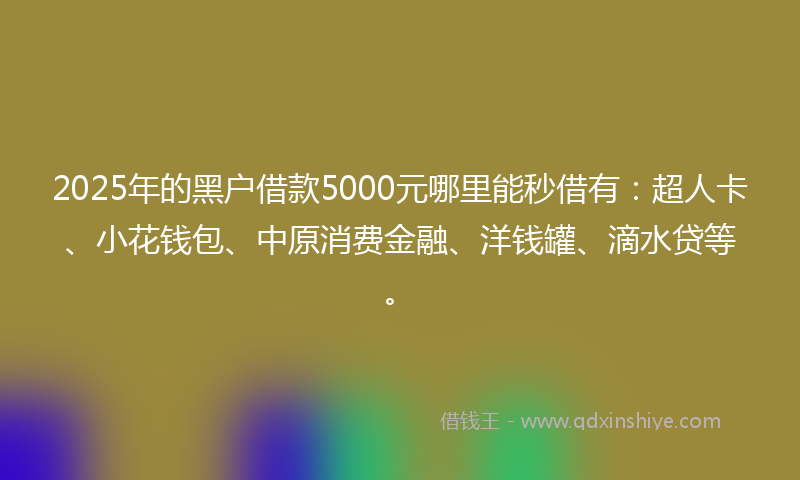 2025年的黑户借款5000元哪里能秒借有：超人卡、小花钱包、中原消费金融、洋钱罐、滴水贷等。