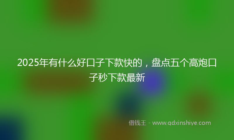2025年有什么好口子下款快的，盘点五个高炮口子秒下款最新