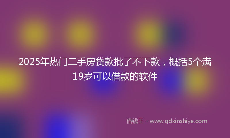 2025年热门二手房贷款批了不下款，概括5个满19岁可以借款的软件