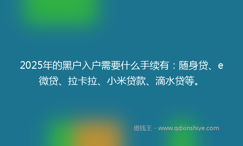 2025年的黑户入户需要什么手续有：随身贷、e微贷、拉卡拉、小米贷款、滴水贷等。