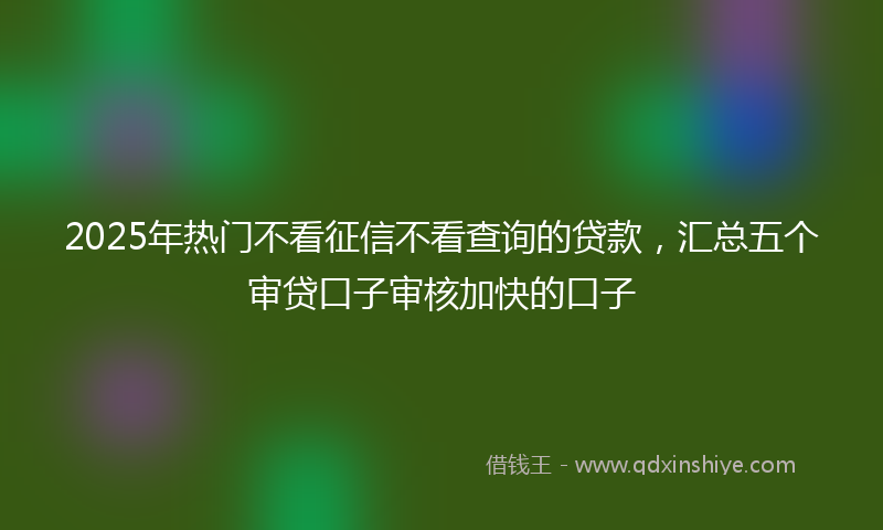 2025年热门不看征信不看查询的贷款，汇总五个审贷口子审核加快的口子
