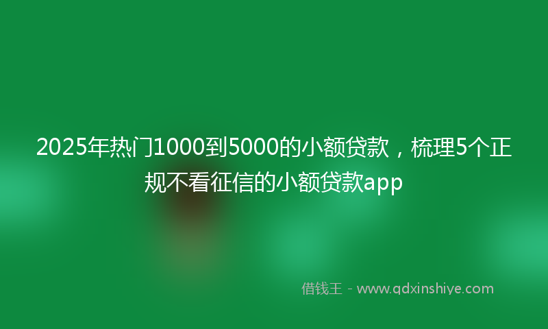 2025年热门1000到5000的小额贷款，梳理5个正规不看征信的小额贷款app