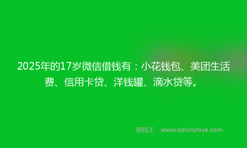 2025年的17岁微信借钱有：小花钱包、美团生活费、信用卡贷、洋钱罐、滴水贷等。