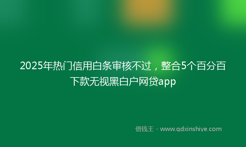 2025年热门信用白条审核不过，整合5个百分百下款无视黑白户网贷app