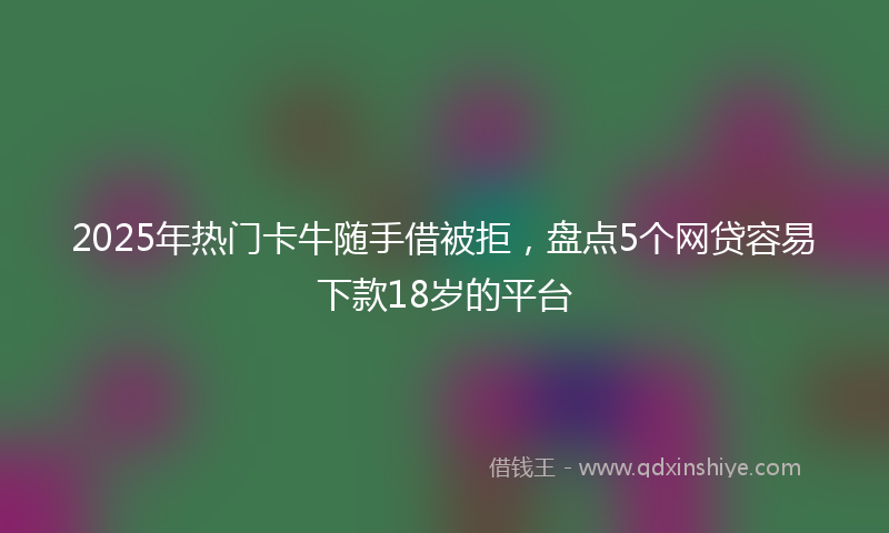 2025年热门卡牛随手借被拒，盘点5个网贷容易下款18岁的平台