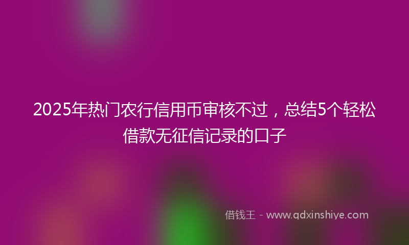 2025年热门农行信用币审核不过，总结5个轻松借款无征信记录的口子