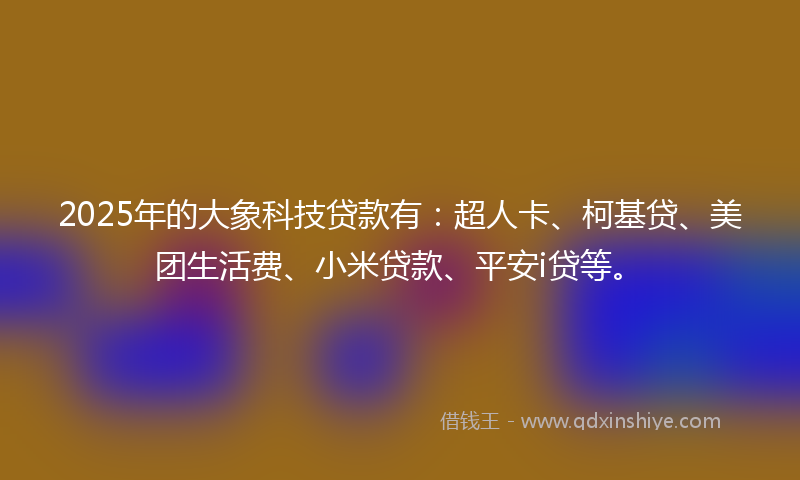 2025年的大象科技贷款有：超人卡、柯基贷、美团生活费、小米贷款、平安i贷等。