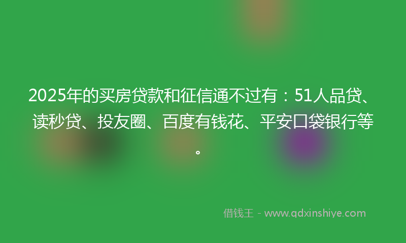 2025年的买房贷款和征信通不过有：51人品贷、读秒贷、投友圈、百度有钱花、平安口袋银行等。