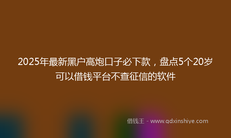 2025年最新黑户高炮口子必下款，盘点5个20岁可以借钱平台不查征信的软件