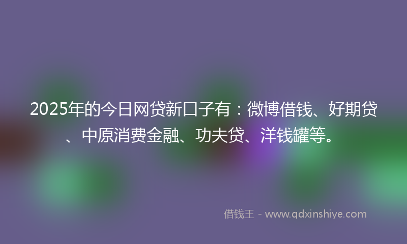 2025年的今日网贷新口子有：微博借钱、好期贷、中原消费金融、功夫贷、洋钱罐等。