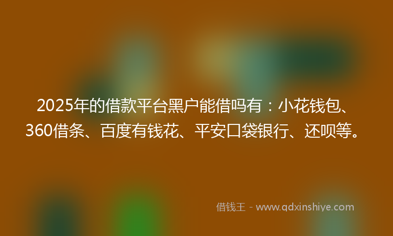 2025年的借款平台黑户能借吗有：小花钱包、360借条、百度有钱花、平安口袋银行、还呗等。