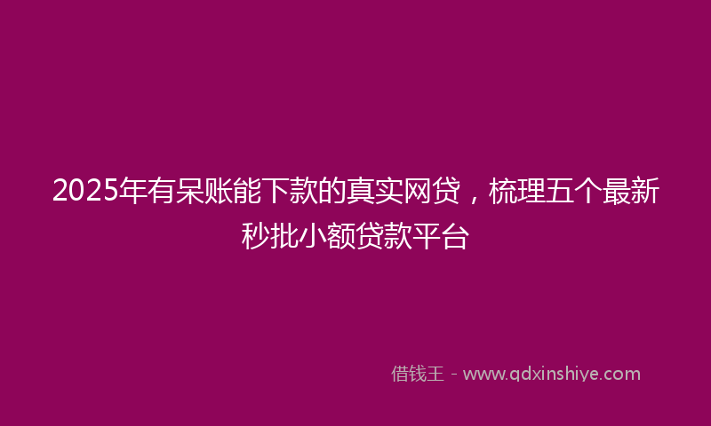 2025年有呆账能下款的真实网贷，梳理五个最新秒批小额贷款平台