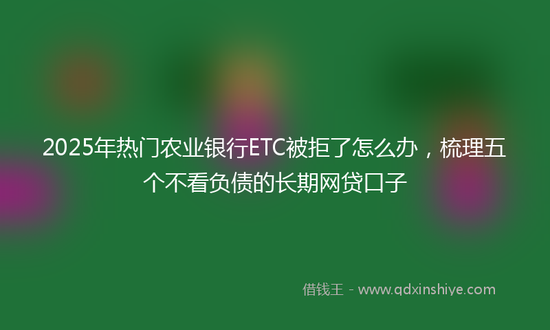 2025年热门农业银行ETC被拒了怎么办，梳理五个不看负债的长期网贷口子
