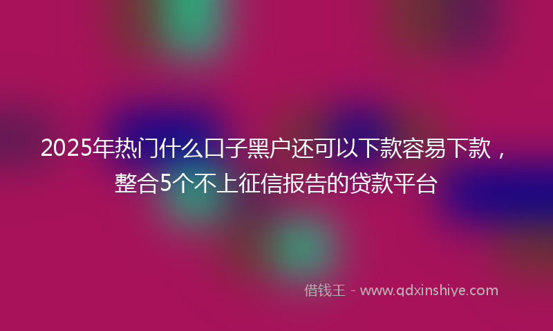 2025年热门什么口子黑户还可以下款容易下款，整合5个不上征信报告的贷款平台