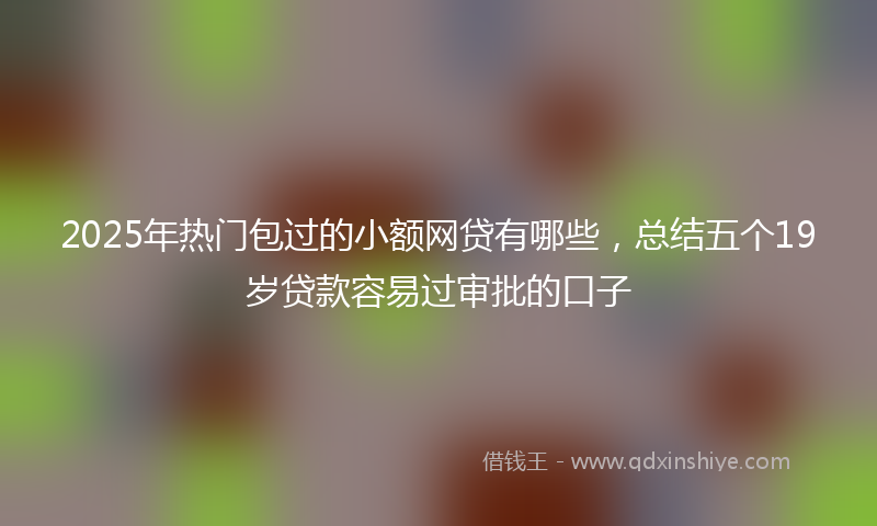 2025年热门包过的小额网贷有哪些，总结五个19岁贷款容易过审批的口子