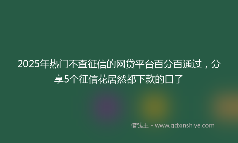 2025年热门不查征信的网贷平台百分百通过，分享5个征信花居然都下款的口子