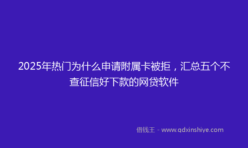 2025年热门为什么申请附属卡被拒，汇总五个不查征信好下款的网贷软件