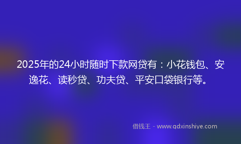 2025年的24小时随时下款网贷有：小花钱包、安逸花、读秒贷、功夫贷、平安口袋银行等。