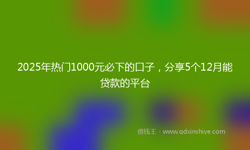 2025年热门1000元必下的口子，分享5个12月能贷款的平台